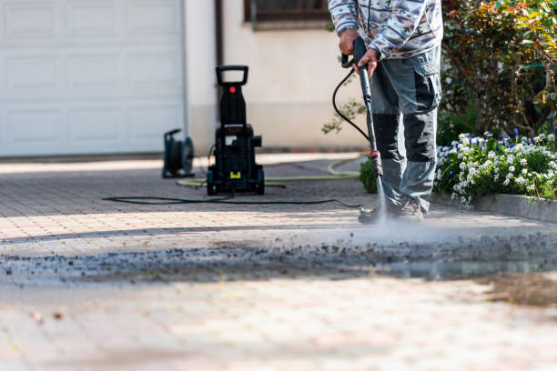 Best Roof Power Washing Services  in Pleasureville, KY