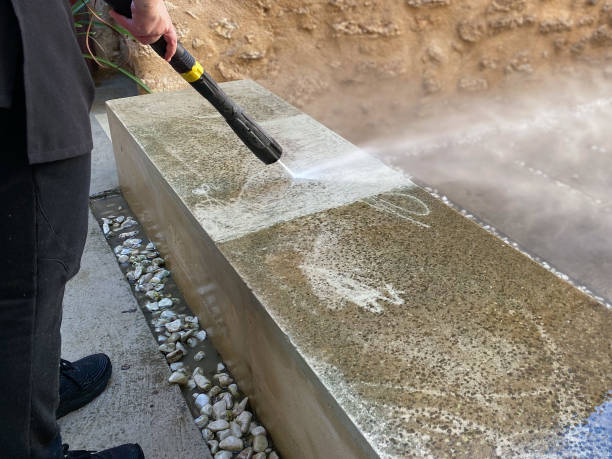 Best House Pressure Washing  in Pleasureville, KY