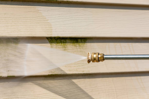 Reliable Pleasureville, KY Pressure Washing Solutions